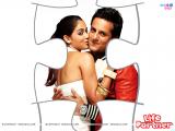 Life Partner (2009)